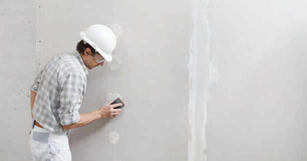 Best Mold Removal for HVAC Installations  in New Port Richey, FL
